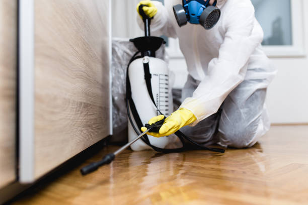 Flea Control Services in Alta, IA