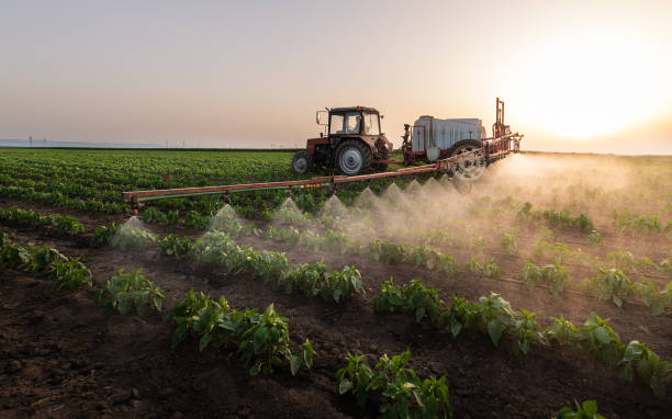 Insect Control in Alta, IA