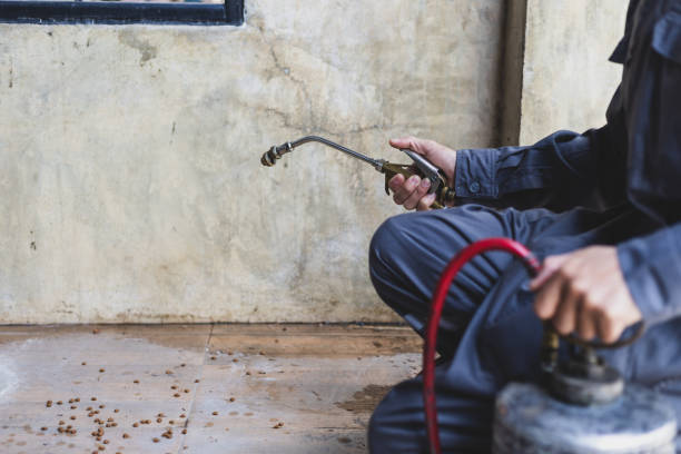 Best Pest Control Cost  in Alta, IA
